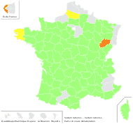 Sedum rubens L. - carte de répartition