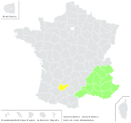 Senecio doria L. - carte de répartition