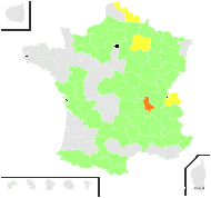 Bubon pyrenaicus (Jacq.) Dumort. - carte de répartition
