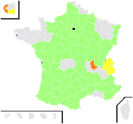 Seseli vulgatum Boreau - carte de répartition