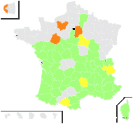 Medicago cuneata J.Woods - carte de répartition