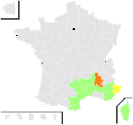 Leptosilene inaperta (L.) Fourr. - carte de répartition