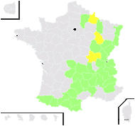 Thesium pyrenaicum Pourr. - carte de répartition