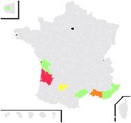 Trachelium caeruleum L. - carte de répartition