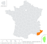 Medicago rugosa Desr. - carte de répartition