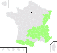 Trollius europaeus L. - carte de répartition