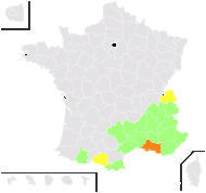 Verbascum virens Host - carte de répartition