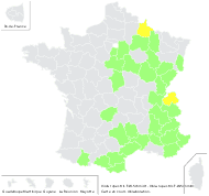 Viola rupestris F.W.Schmidt - carte de répartition