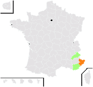 Adonis intermedia Webb & Berthel. - carte de répartition