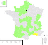 Avena fatua L. subsp. fatua - carte de répartition