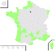 Matthiola incana (L.) R.Br. - carte de répartition