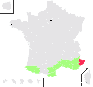 Illecebrum niveum (DC.) Pers. - carte de répartition