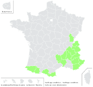 Lobaria cuneifolia (L.) Haw. - carte de répartition