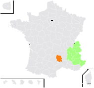 Senecio incanus L. - carte de répartition