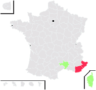 Teucrium capitatum L. - carte de répartition