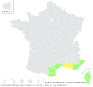Medicago doliata Carmign. - carte de répartition