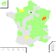 Medicago ×varia Martyn - carte de répartition