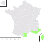 Trigonella elegans (Salzm. ex Ser.) Coulot & Rabaute - carte de répartition