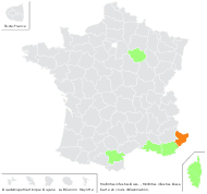 Melilotus sulcatus var. major Cambess. - carte de répartition