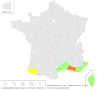 Melilotus italicus (L.) Lam. - carte de répartition