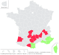Asphodelus microcarpus Viv. - carte de répartition