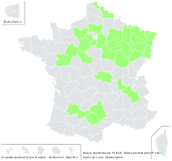 Rubus phyllostachys P.J.Müll. - carte de répartition
