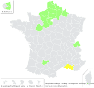 Pimpinella saxifraga L. subsp. saxifraga var. saxifraga - carte de répartition
