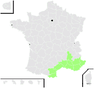 Onobrychis alectorocephala St.-Lag. - carte de répartition