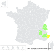 Achillea roseo-alba Ehrend. - carte de répartition