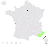 Roldana petasitis (Sims) H.Rob. & Brettell - carte de répartition