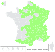 Sambucus racemosa L. - carte de répartition