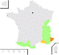 Cheiranthus dubius Suter - carte de répartition