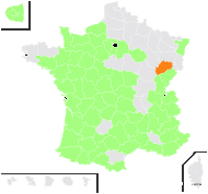 Torilis arvensis (Huds.) Link subsp. arvensis - carte de répartition