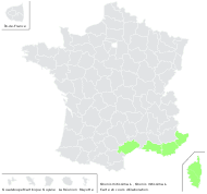 Ononis mitissima L. - carte de répartition