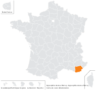 Gypsophila viscosa Murray - carte de répartition
