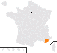 Reseda gayana Boiss. - carte de répartition