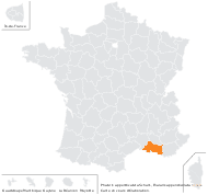 Phalaris appendiculata Schult. - carte de répartition