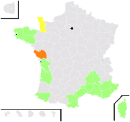 Ononis reclinata L. - carte de répartition
