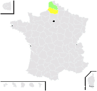 Thalictrum minus subsp. dunense (Dumort.) Rouy & Foucaud - carte de répartition