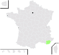 Artedia squamata L. - carte de répartition