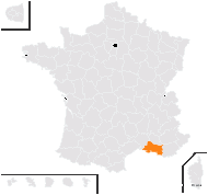 Sisymbrium assoanum Loscos & J.Pardo - carte de répartition