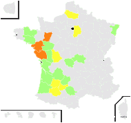 Ornithopus sativus Brot. subsp. sativus - carte de répartition