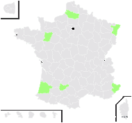 Oenothera lindheimeri (Engelm. & A.Gray) W.L.Wagner & Hoch - carte de répartition