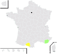 Bambusa heterocycla Carrière - carte de répartition