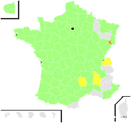 Ulex europaeus L. subsp. europaeus var. europaeus - carte de répartition