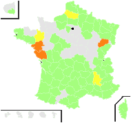 Pisum sativum L. - carte de répartition