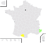 Barbarea sicula C.Presl - carte de répartition