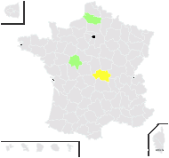 Aster dumosus L. - carte de répartition