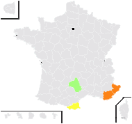 Scorpiurus vermiculatus L. - carte de répartition