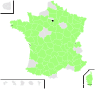 Bromus racemosus L. subsp. racemosus - carte de répartition